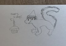 IMG_8636.jpeg