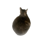 1784344599961.png