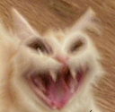 niki (7).png