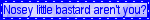 1785005940884.png