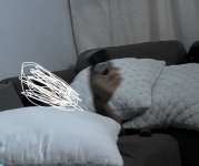 1785130809743.jpeg