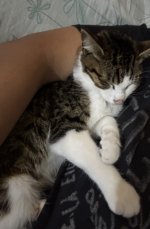 IMG_0613.jpeg