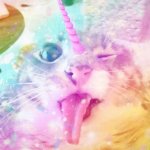 IMG_0528.jpeg