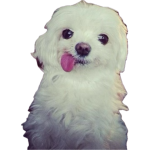 1786143684844.png