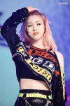 19024