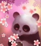 fc9cde0d2858f4e2b09811bec03eb1d2--happy-spring-panda-bears.jpg
