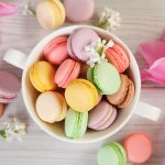 french-macaron-recipe.jpg