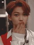 stray-kids-lee.gif