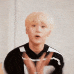 seungkwan seungkwan.gif