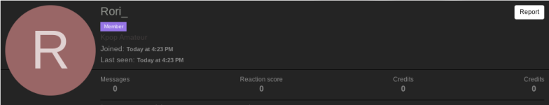 Screenshot 2024-02-27 8.31.33 PM.png