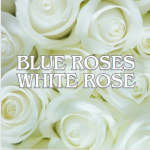 1711388737649.png 1711388737649.png