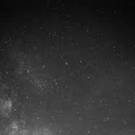 Biggie Back Fatty❤