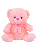 Pink Bear Plush
