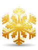 Golden Snowflake