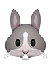 Rabbit Emoji