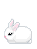 Blushin Bunny