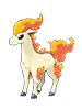 Ponyta