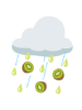 Raining Kiwis