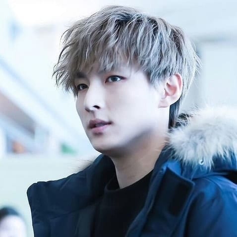 Zuho grey hair