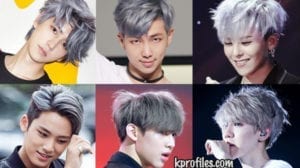 Kpop male idols gray hair