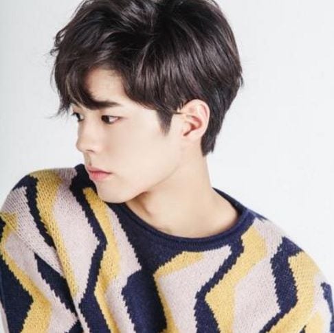 Endearing Park Bo Gum Facts