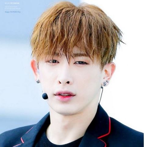 Wonho Facts and Profile; Wonho&rsquo;s Ideal Type (Updated!)