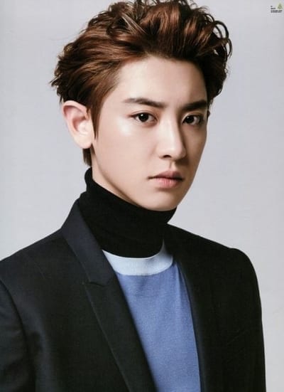 Chanyeol (EXO) Profile and Facts; Chanyeol's Ideal Type 