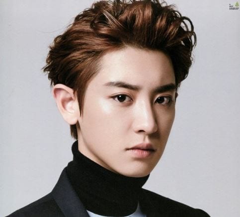 Chanyeol (EXO) Profile and Facts; Chanyeol’s Ideal Type (Updated!)