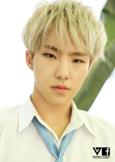Hoshi (Seventeen) Facts and Profile, Hoshi's Ideal Type (Updated!)