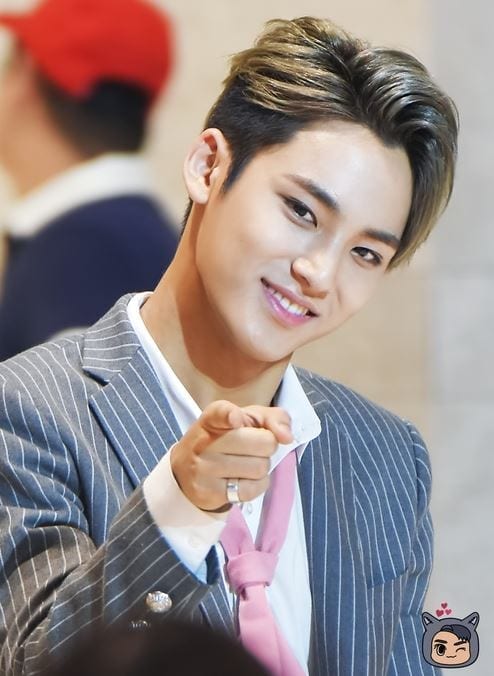 Mingyu Seventeen : Support all mobiles and tablets like all samsung