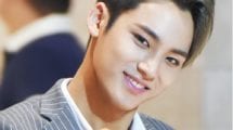 Mingyu handsome