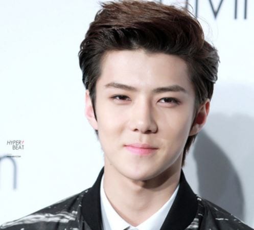 Sehun Profile And Facts Sehun S Ideal Type Updated