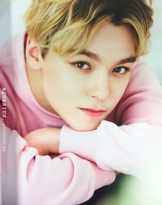 Resultado de imagen para vernon seventeen