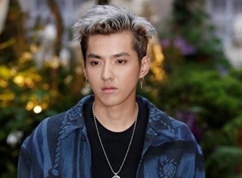 Kris Wu Profile and Facts; Kris Wu's Ideal Type (Updated!)