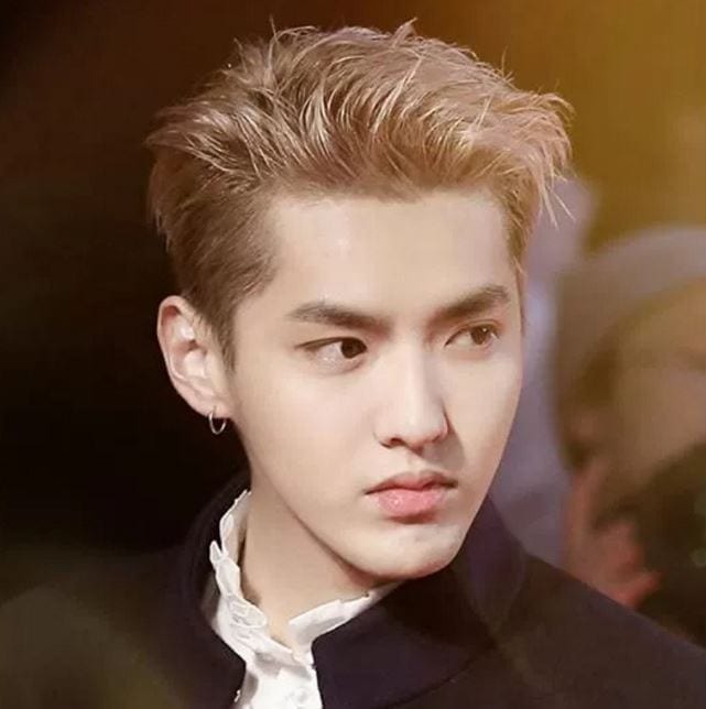 Kris Wu Profile and Facts; Kris Wu’s Ideal Type (Updated!)