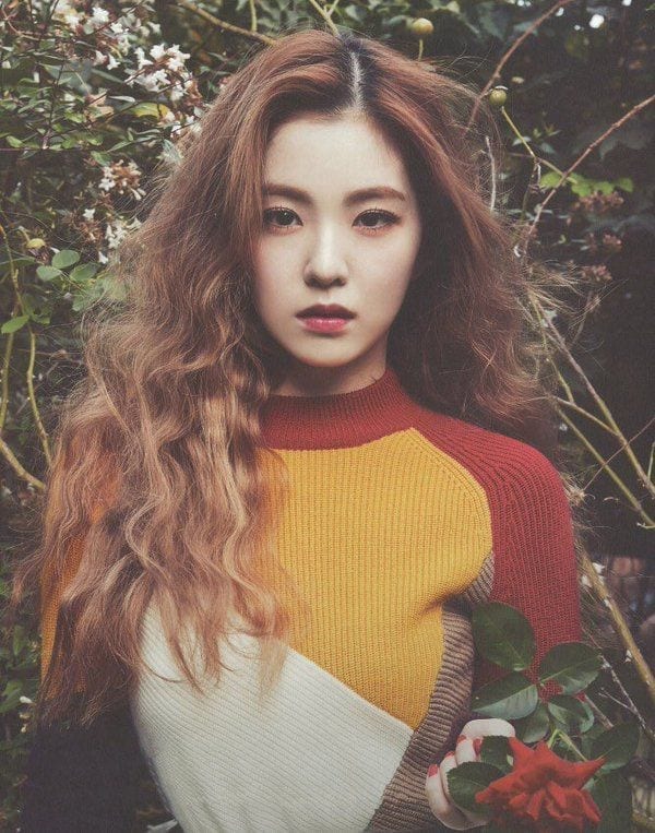 Irene (Red Velvet) Facts and Profile, Irene’s Ideal Type (Updated!)