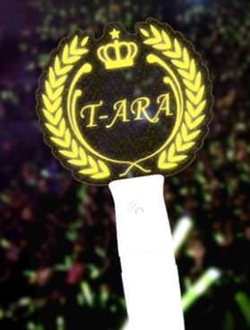 T-Ara Light Stick