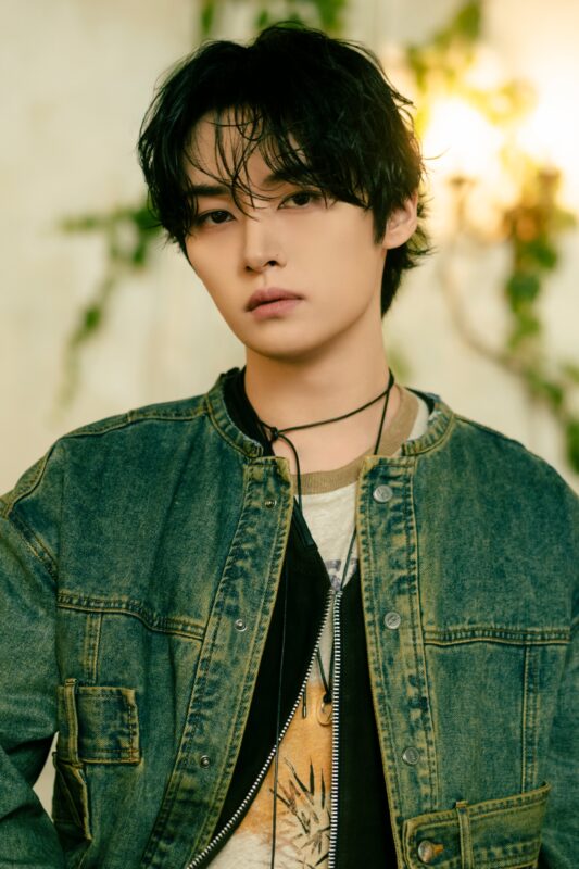 Stray Kids Members Profile Updated Kpop Profiles Stray Kids Members Profile Updated Kpop Profiles