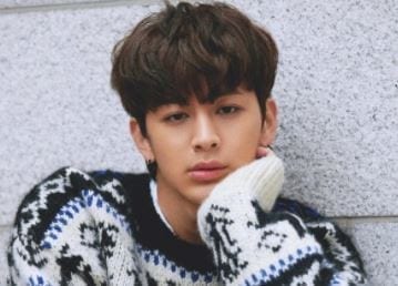 Song (iKon) Profile and Facts; Song's Ideal Type (Updated!)