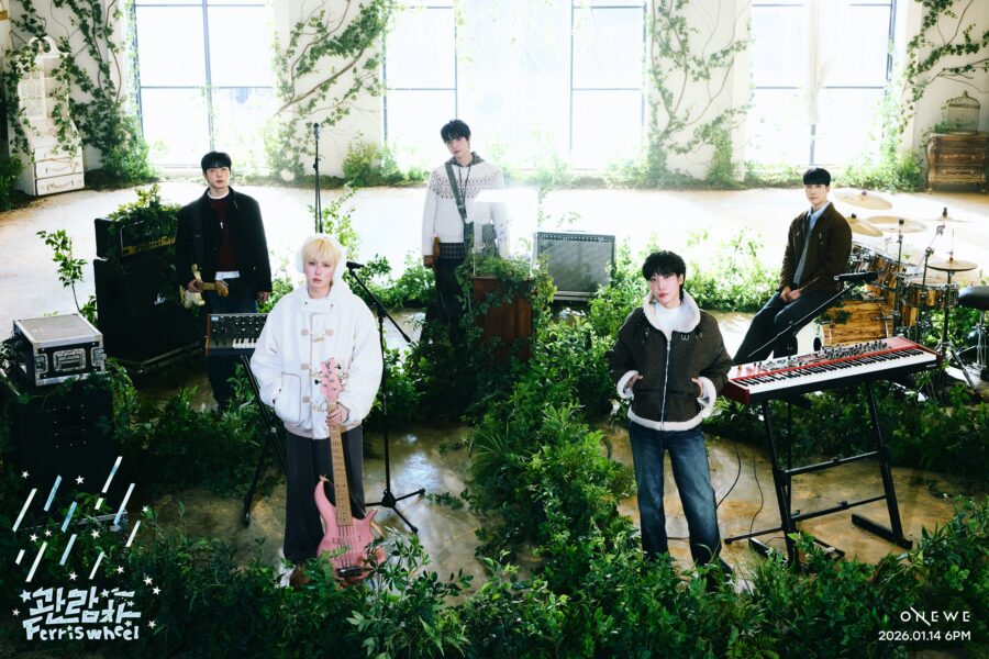 ONEWE Ferris wheel Photo