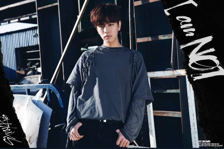 Seungmin (Stray Kids) Profile and Facts (Updated!)
