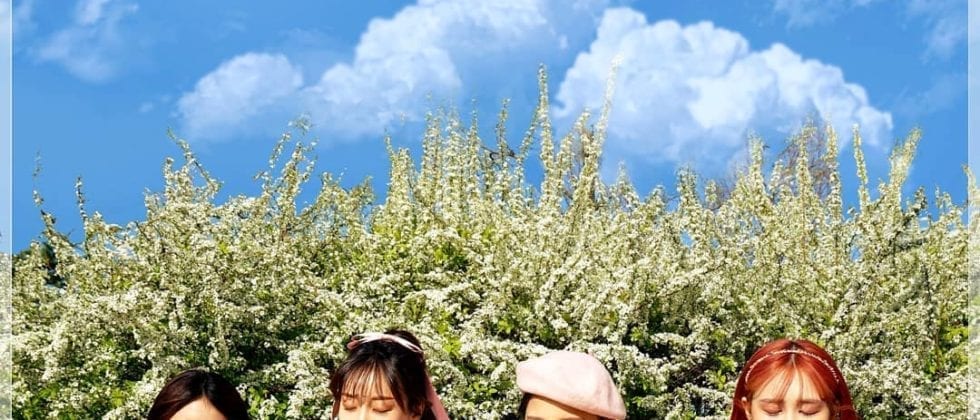 YJIG Members Profile