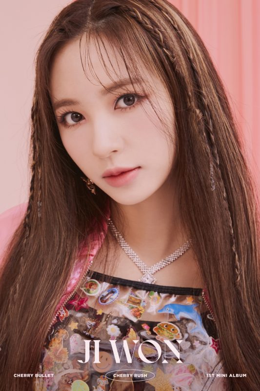 Cherry Bullet Members Profile Updated