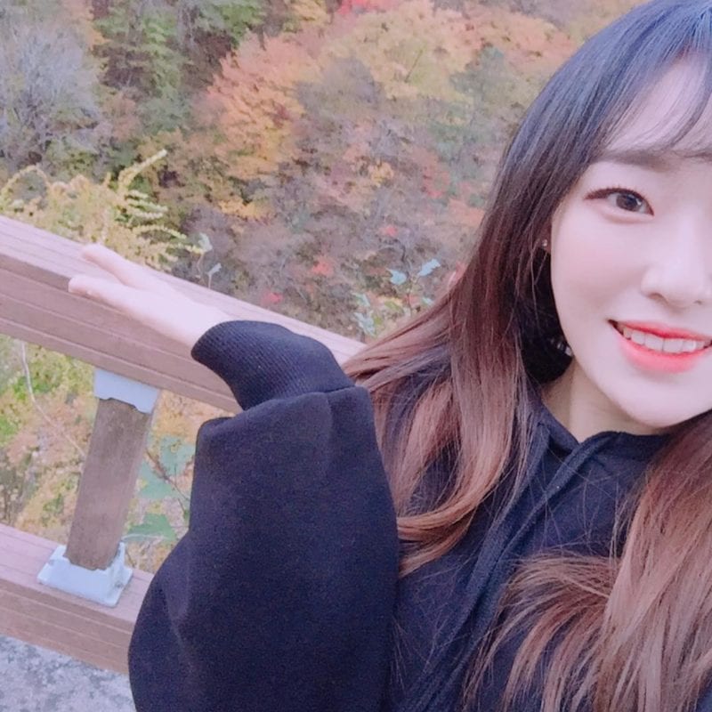 FlaShe Members Profile (Updated!)