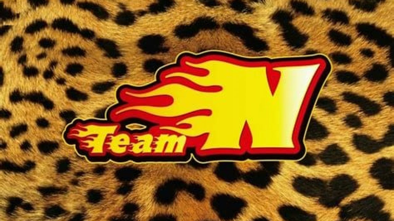 Nmb48 Team N Members Profile Updated