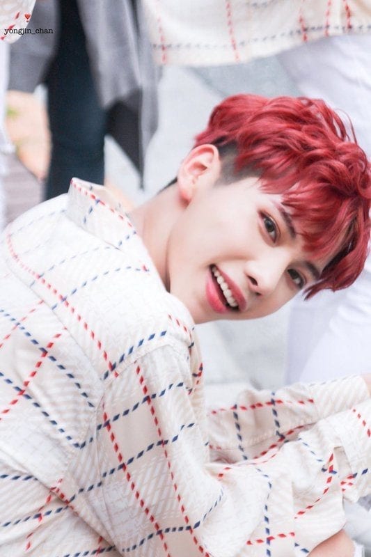 AWEEK Profile and Facts (Updated!)