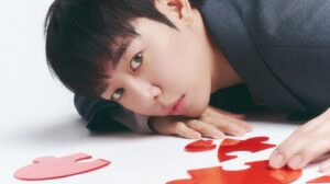 DAEHYUN B.A.P PUZZL(OV)E Concept Photo