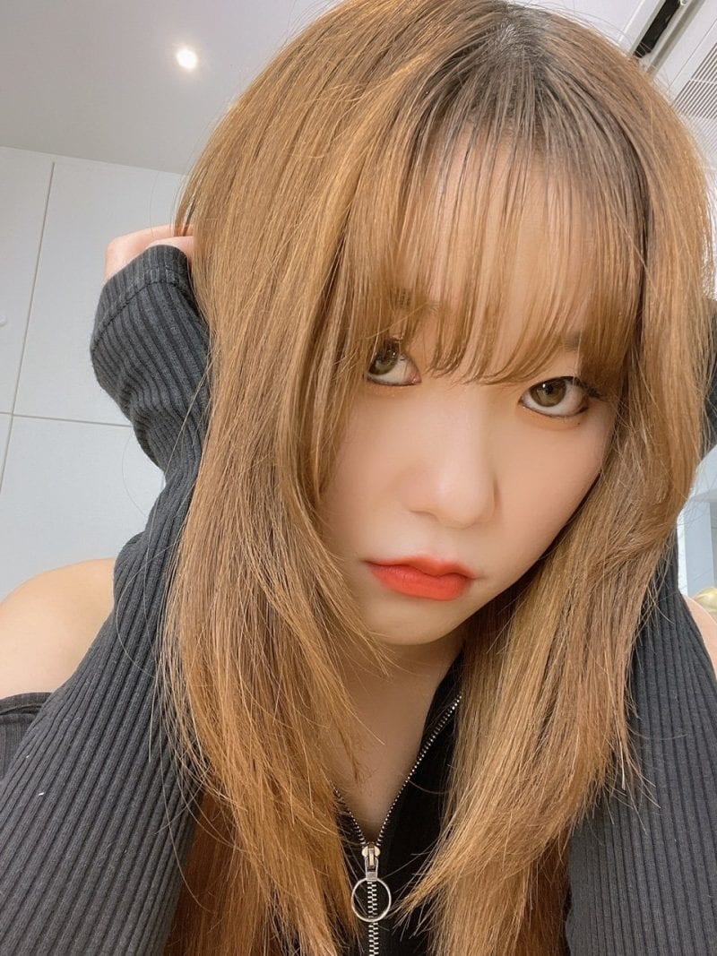 MyDoll Girls Members Profile (Updated!)