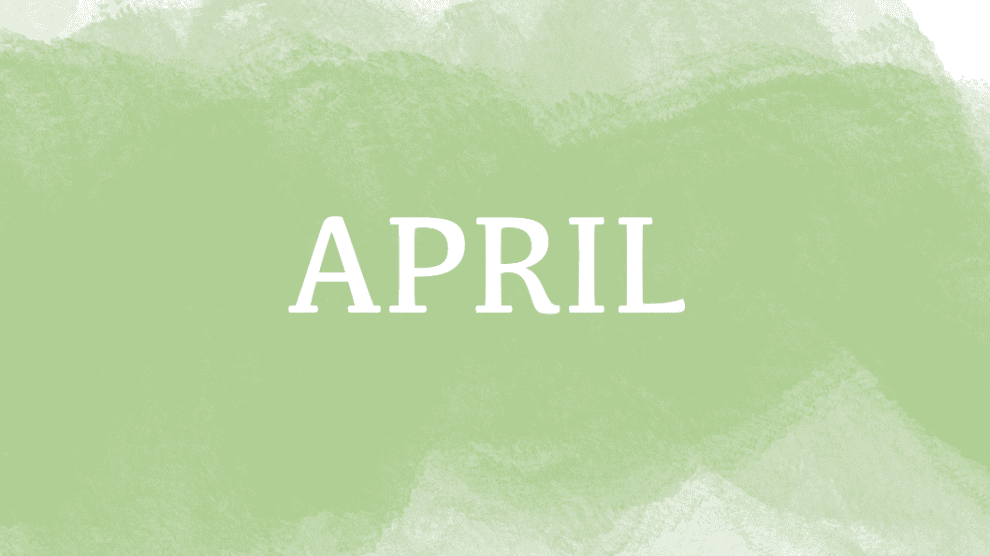 Poll: Who Owned MAMAMOO’s AYA Era? (Updated!) - Kpop Profiles