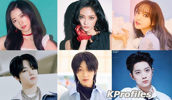 Who Is Your Favourite Chinese Kpop Idol Updated
